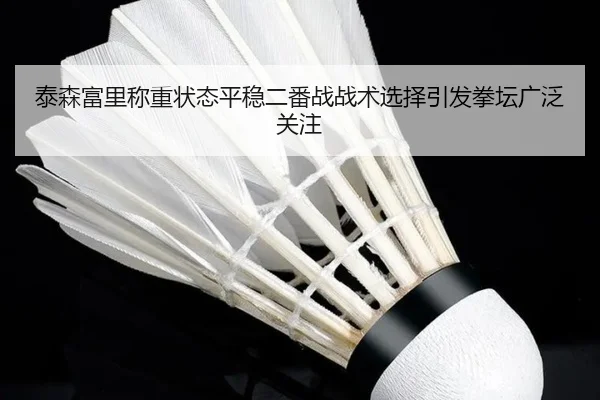 泰森富里称重状态平稳二番战战术选择引发拳坛广泛关注